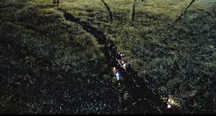 Still from The Lost World: Jurassic Park: a path cut through tall grass at night by something unseen
