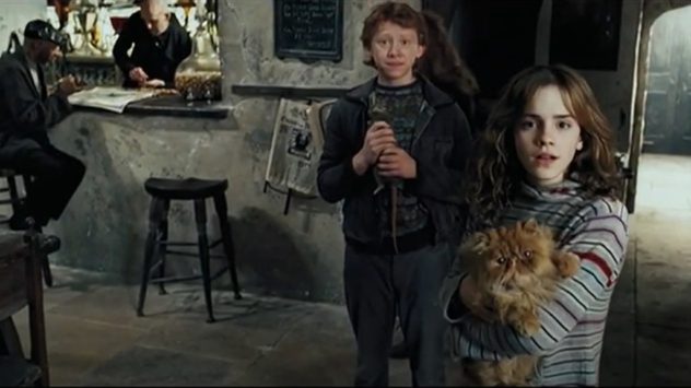 harry-potter-prisoner-azkaban-crookshanks-cat