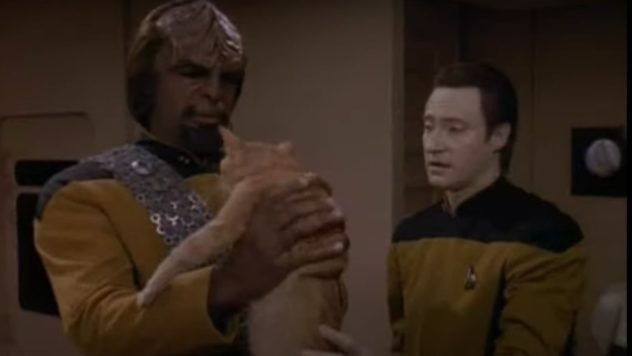 spot-data-worf-star-trek