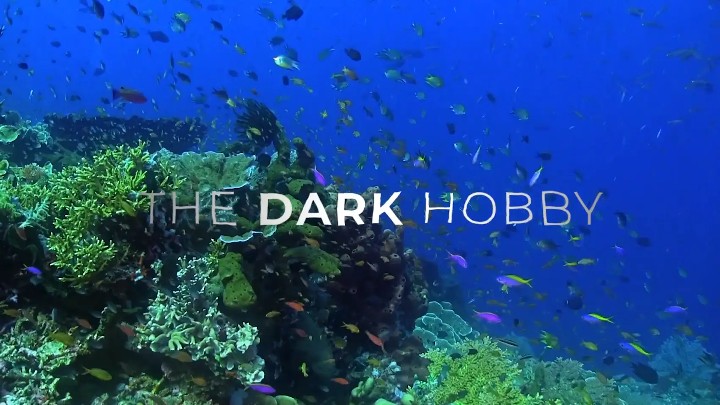 the-dark-hobby_header