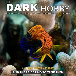 the-dark-hobby_square
