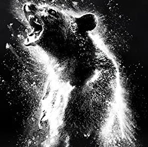 cocaine-bear_square