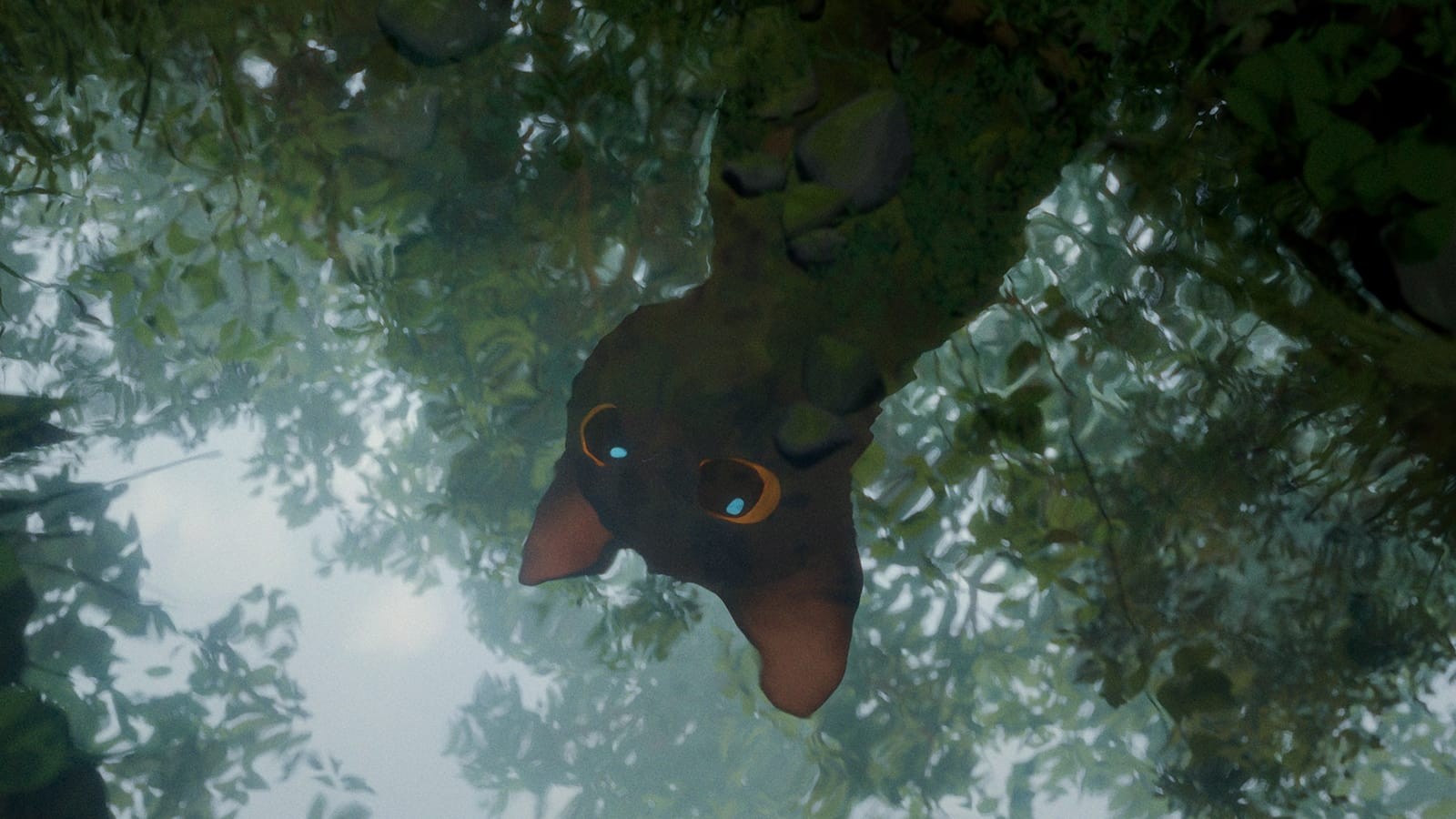 Still from Flow: the black cat peers down from a misty forest canopy